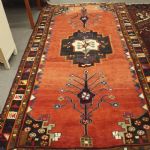 868 1494 ORIENTAL RUG